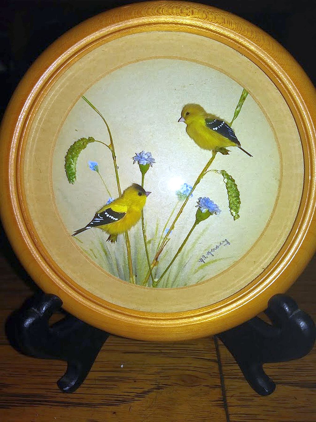 Common Goldfinch (Version 2) (5-inch)